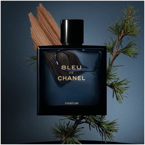 blue de chanel caratteristiche|bleu Chanel fragrantica.